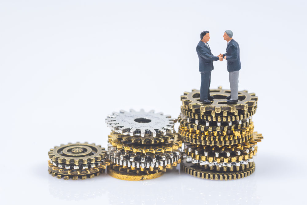 IPO and Capital Market Support